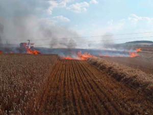 Čtyři jednotky hasičů se potýkaly požárem pole. Oheň vznikl po pádu drátů elektrického vedení