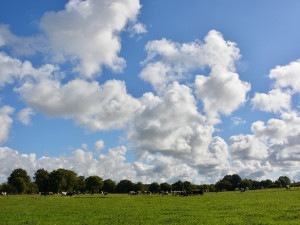 POČASÍ NA ČTVRTEK: Polojasno až oblačno, místy přeháňky či bouřky