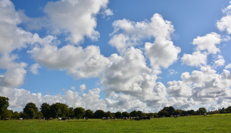 ilustrační fotografie