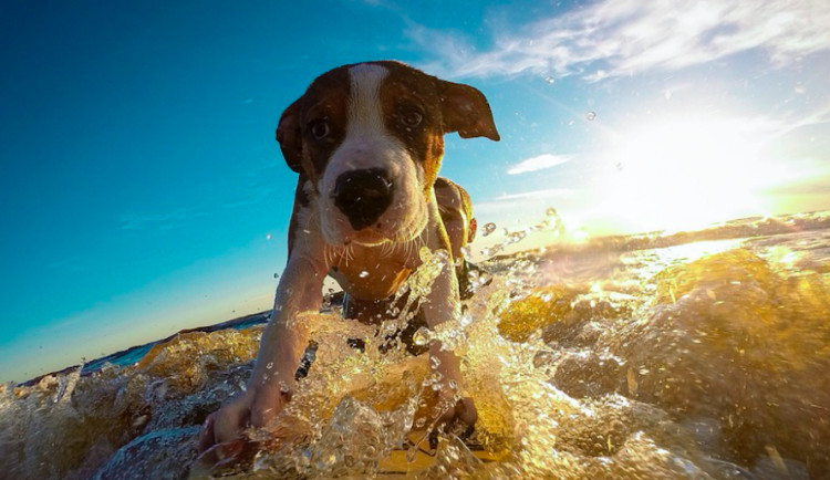 ilustrační fotografie