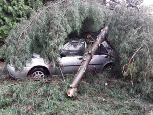 FOTO: Prostějovem se prohnala silná bouřka, stromy padaly i na auta