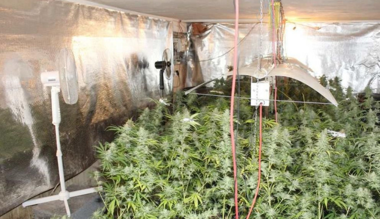 FOTO/VIDEO: Podívejte se na zásah TOXI týmu v přímém přenosu. Jen za tento rok odhalil na Olomoucku 33 případů