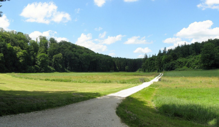 POČASÍ NA STŘEDU: Vedra vrcholí, čekáme až 36 stupňů
