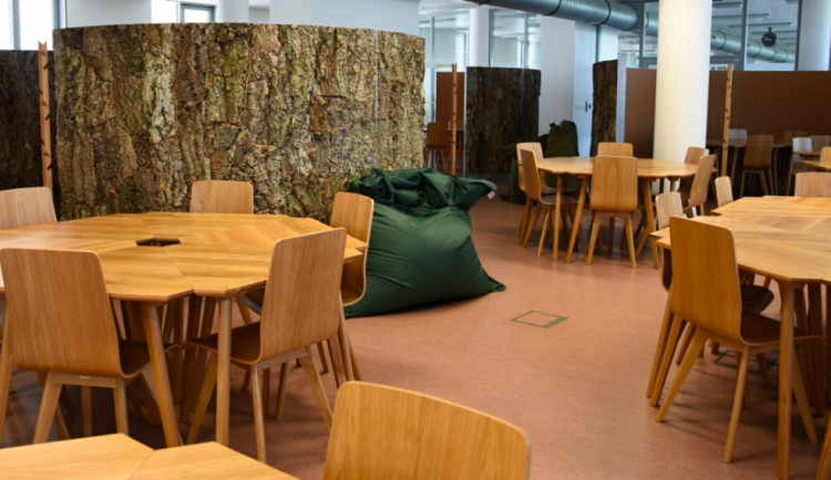 Přírodovědecká fakulta má nově zrekonstruovanou studovnu, zdobí ji netradiční paravány