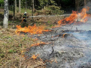 AKTUÁLNĚ: Patnáct jednotek hasičů a vrtulník bojují s rozsáhlým požárem lesa