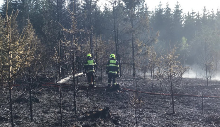 FOTO/VIDEO: Shořely tři hektary lesa, zasahovalo 17 jednotek hasičů a vrtulník