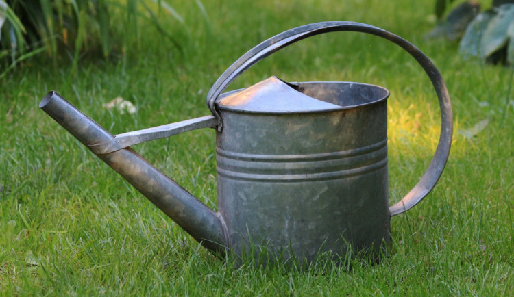 Kvůli suchu byl v Přerově zakázán odběr vody i provoz vodních elektráren