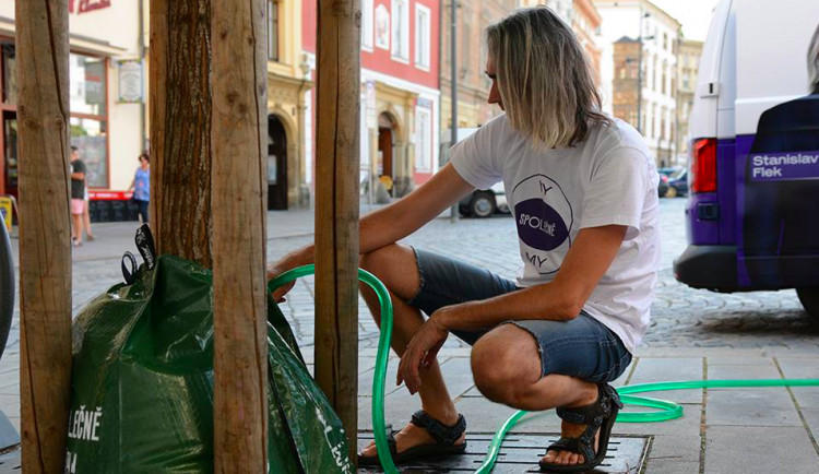 Město kritizuje hnutí spOLečně za přelití stromů v centru. V takovém horku to není možné, reaguje hnutí