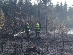 FOTO/VIDEO: Shořely tři hektary lesa, zasahovalo 17 jednotek hasičů a vrtulník