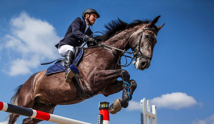 Víkend v jezdeckém areálu na Lazcích bude patřit parkuru, koná se tam Oblastní mistrovství Severní Moravy