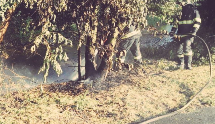 Požár trávy a stromků likvidovaly dvě jednotky hasičů