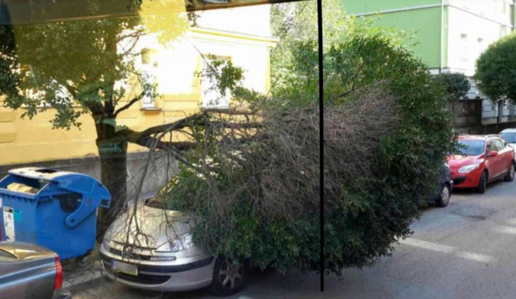 V Polívkově ulici spadla prasklá část stromu na auto, odklidit ji museli hasiči