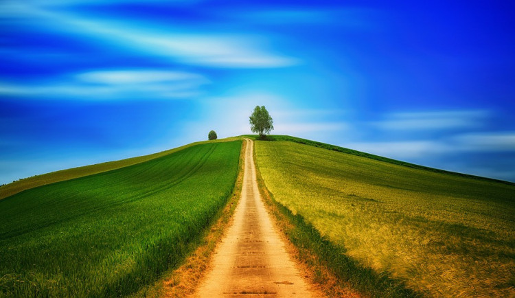 ilustrační fotografie