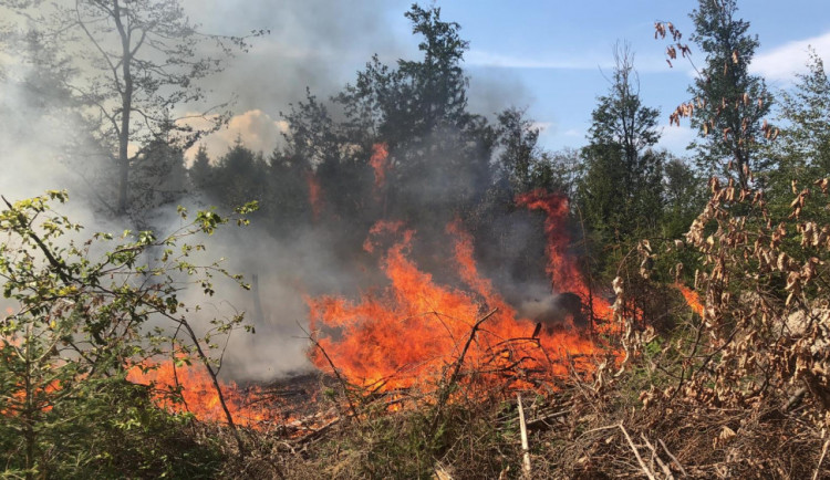 FOTO/VIDEO: Sedm jednotek hasičů zachránilo majetek za padesát milionů korun