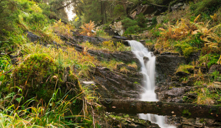 V sobotu se v rámci cyklu výletů Z pramenů Jeseníků s Pivovarem Holba můžete vydat na Rejvíz