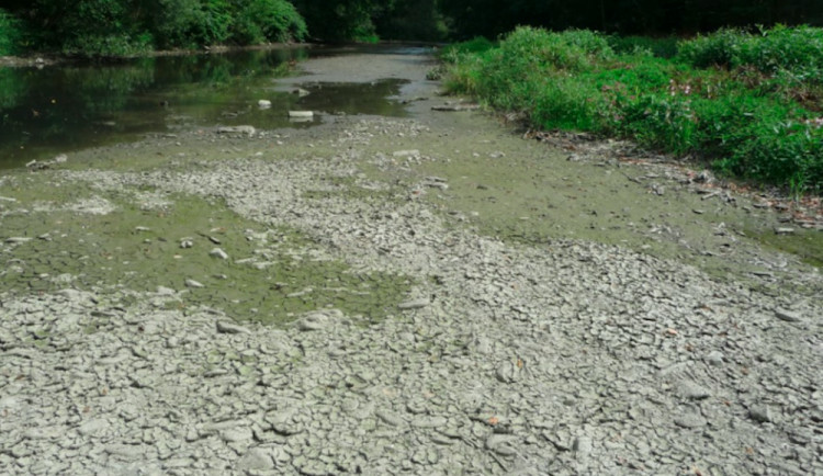 Vlivem sucha vysychají potoky na Moravě a klesají podzemní vody