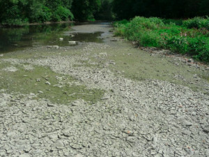 Vlivem sucha vysychají potoky na Moravě a klesají podzemní vody