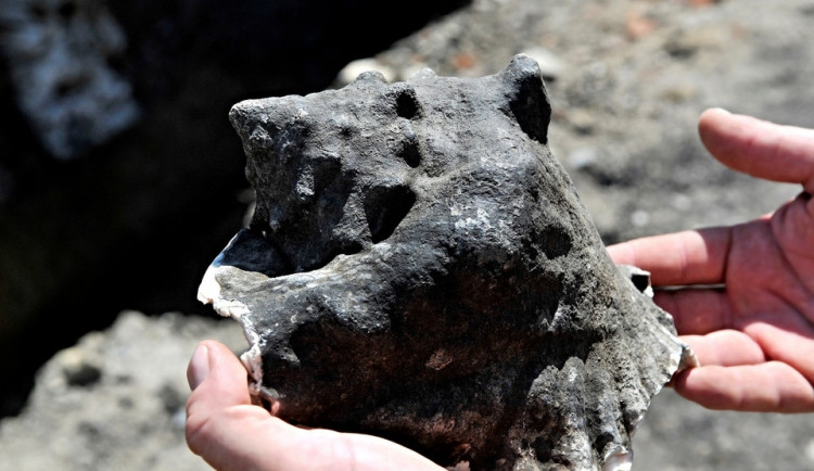 FOTO: V Přerově byla nalezena tisíc let stará keramika, hrot šípu nebo nožík