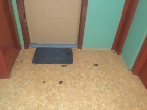 Muž nechal svého psa vykonat potřebu na rohožce sousedky, navrch jí zalepil klíčovou dírku sekunďákem