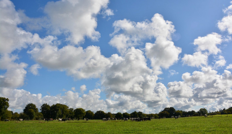 POČASÍ NA PÁTEK: Maximálně 25 stupňů a ojediněle přeháňky