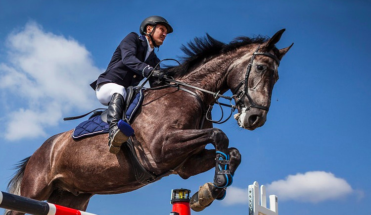 Od pátku do neděle se na lazeckém závodišti uskuteční parkurové závody v rámci Ceny Olomouckého kraje