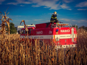 41330094_2063625463689673_7037855457016283136_n