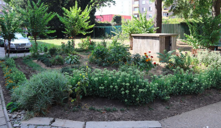 Ve vyhlášení předzahrádky roku se letos objeví jen dvě místa, podle odborníků byla úroveň ročníku nízká