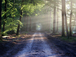 POČASÍ NA NEDĚLI: Polojasno a třiadvacet stupňů
