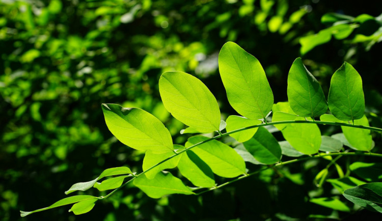 POČASÍ NA PONDĚLÍ: Nový týden by měl být teplejší, v pondělí naměříme až 26 stupňů