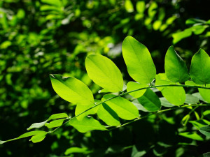 POČASÍ NA PONDĚLÍ: Nový týden by měl být teplejší, v pondělí naměříme až 26 stupňů