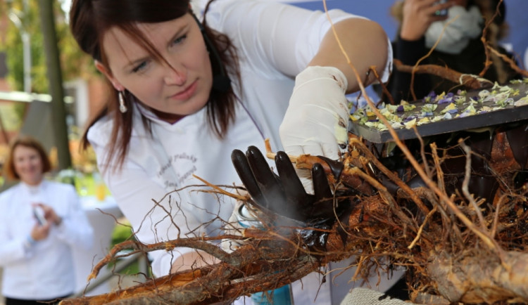 Čokoládové lázně Velké Losiny bodovaly v Cenách Olomouckého kraje v oblasti cestovního ruchu