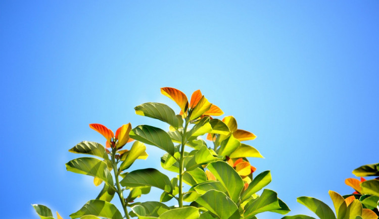 POČASÍ NA ČTVRTEK: Bude jasno a teploty budou atakovat třicítku