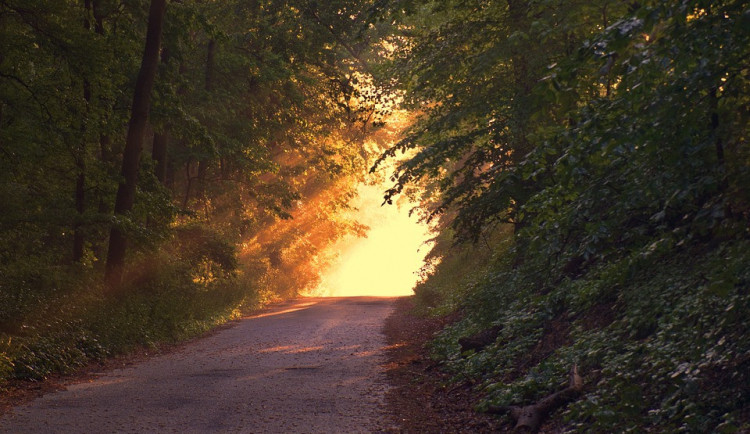 ilustrační fotografie