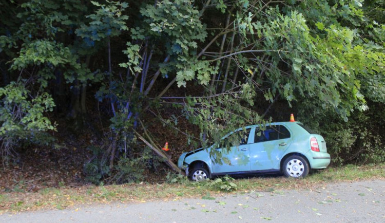 Opilý řidič nezvládl zatáčku a skončil s autem ve stromě. Při kolizi se zranila jeho spolujezdkyně