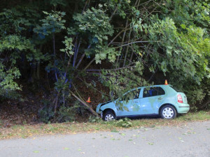 Opilý řidič nezvládl zatáčku a skončil s autem ve stromě. Při kolizi se zranila jeho spolujezdkyně