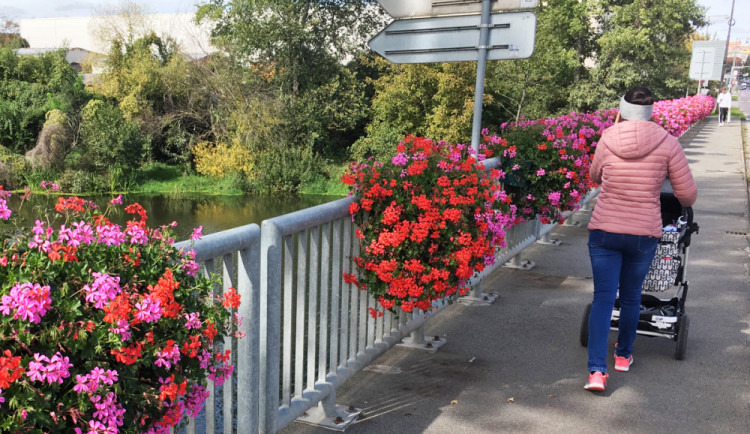 Hnutí ANO: Uděláme z Olomouce znovu město květin