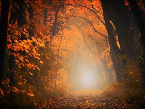 POČASÍ NA SOBOTU: Čeká nás oteplení