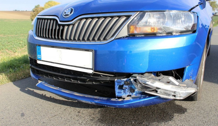 Dopravních střetů s lesní zvěří přibývá. Zvířata často srážku nepřežijí