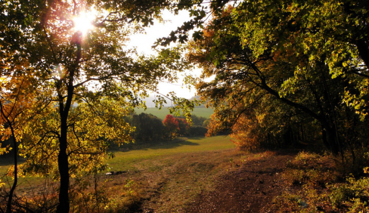 POČASÍ NA ÚTERÝ: Ranní vítr vystřídá jasná obloha