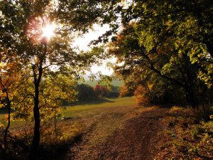 POČASÍ NA ÚTERÝ: Ranní vítr vystřídá jasná obloha