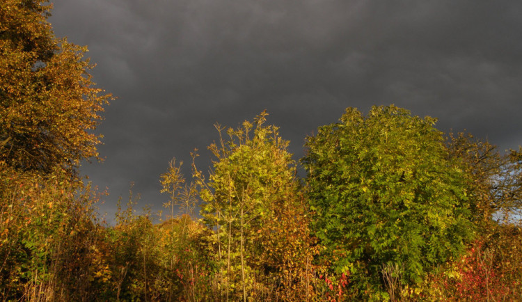 POČASÍ NA ČTVRTEK: Zatažená obloha a déšť s mírným větrem