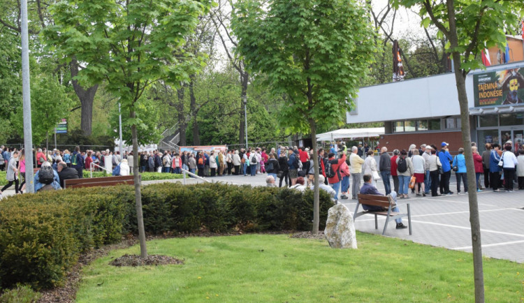 Téměř polovina prodejců na olomoucké Floře hřešila, zjistila Česká obchodní inspekce