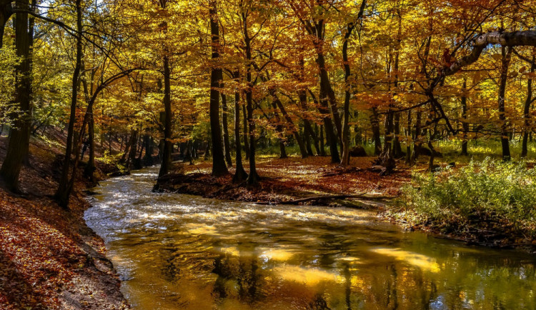 POČASÍ NA PONDĚLÍ: Deštivé ráno pomine a vystřídá ho čerstvý silný vítr