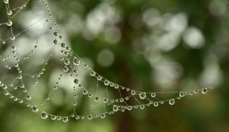 POČASÍ NA ÚTERÝ: I když bude zataženo a zaprší, čeká nás oteplení