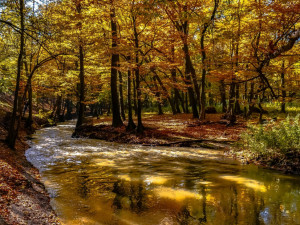 POČASÍ NA PONDĚLÍ: Deštivé ráno pomine a vystřídá ho čerstvý silný vítr