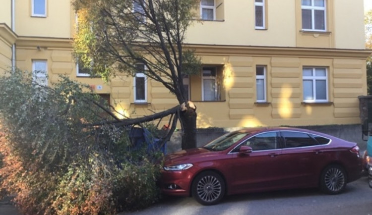 FOTO: Včerejší silný vítr zaměstnával policisty, vyjížděli k popadaným stromům i reklamním tabulí
