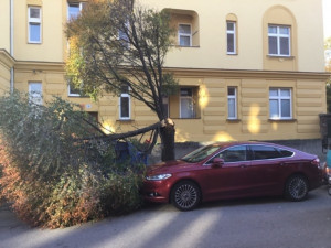 FOTO: Včerejší silný vítr zaměstnával policisty, vyjížděli k popadaným stromům i reklamním tabulí