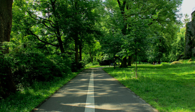 ilustrační fotografie