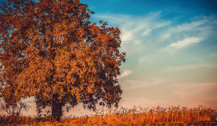 POČASÍ NA NEDĚLI: Ráno bude zataženo, ale odpoledne se vyjasní