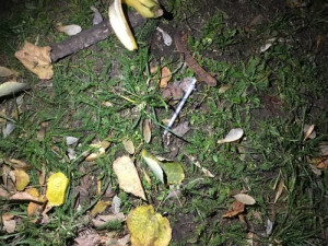 Injekční stříkačky olomoučtí strážníci o víkendu likvidovali v ulicích Kpt. Jaroše a Heydukova